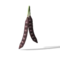 Sims 4 Black Beans in Jungle Adventure Game Pack