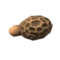 Sims 4 Outdoor Retreat Morel Mushroom