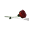 Sims 4 Rose