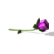 Sims 4 Tulip