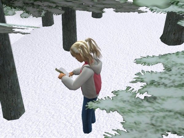 Picture