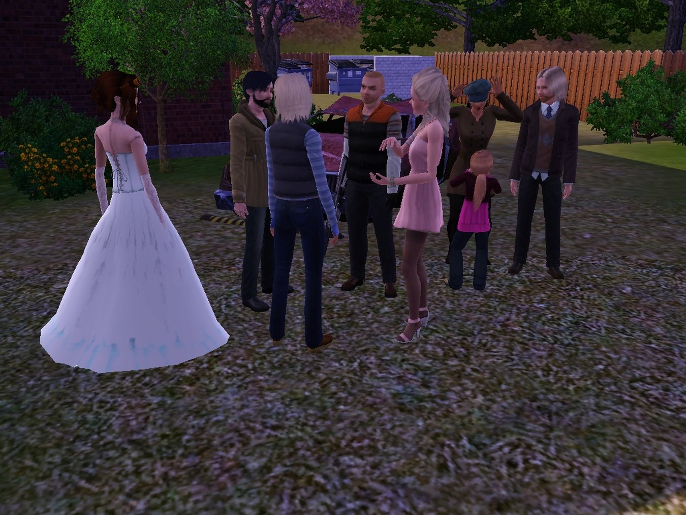 Picture