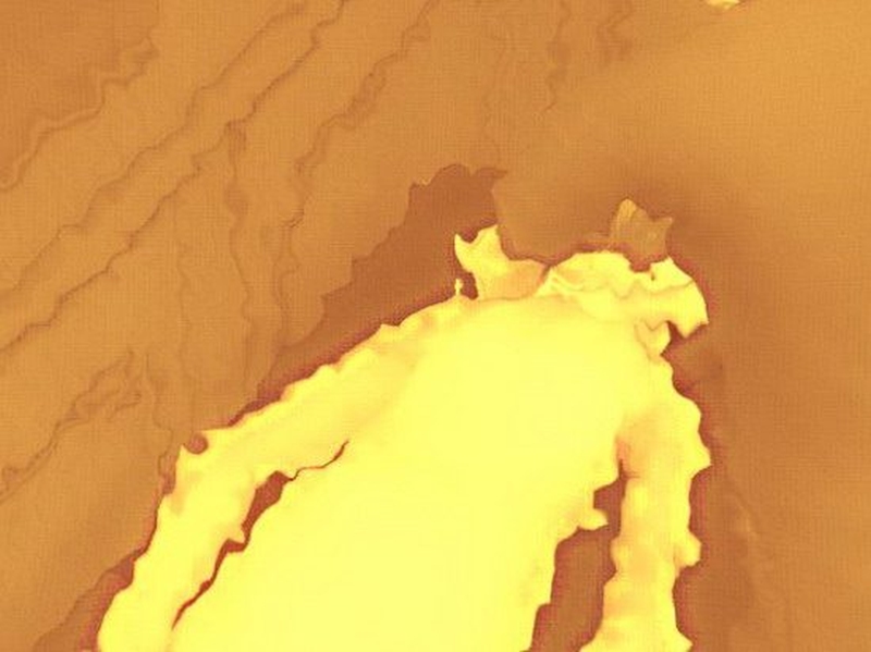 8505088_orig-1089853