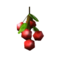 Sims 4 Cherry